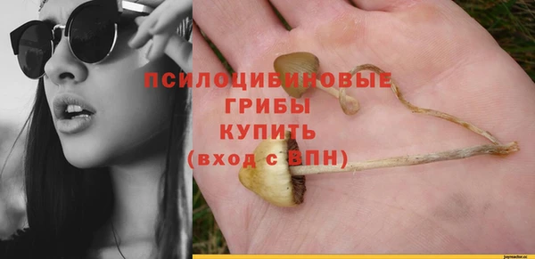 тгк Арсеньев