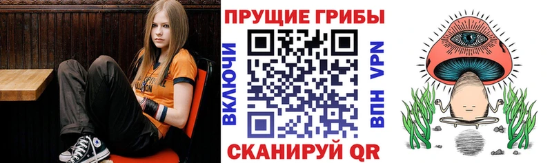 Галлюциногенные грибы мухоморы  Электрогорск 